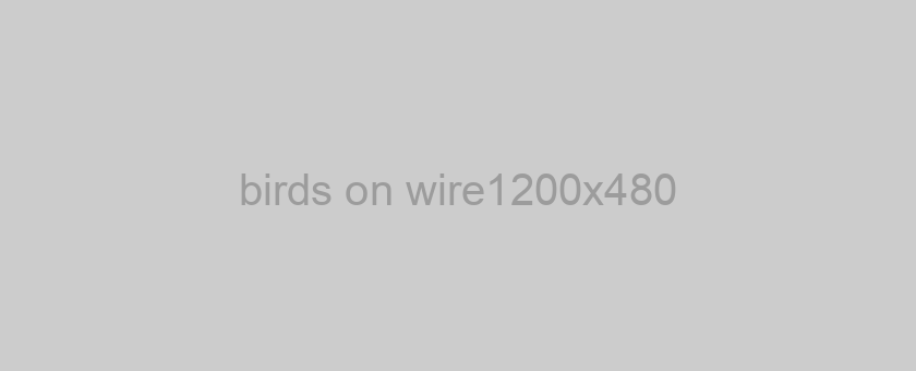 birds on wire1200x480